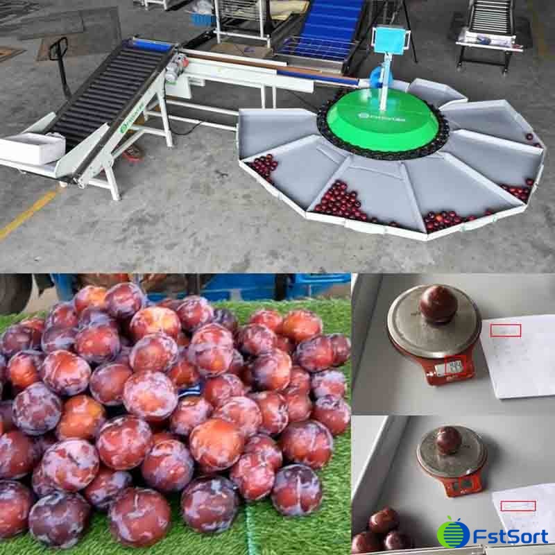 images/1719818732530plum sorting grading machine.jpg